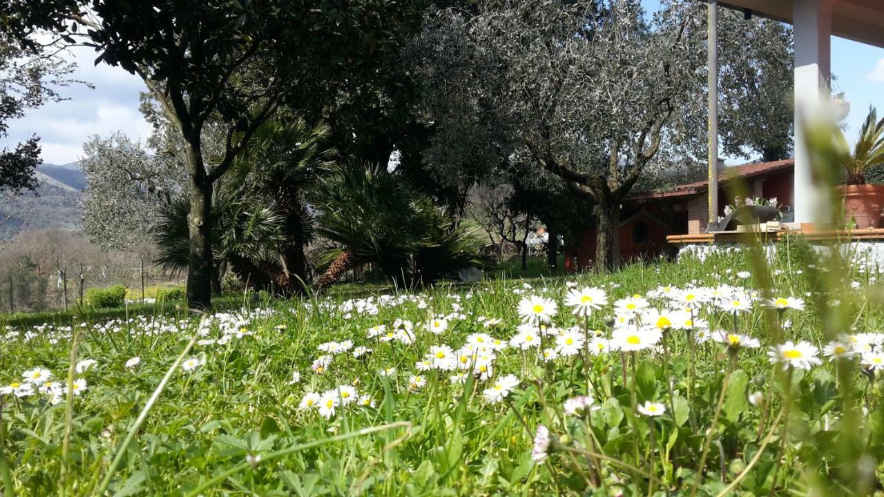 B&B La Mita Giuliano di Roma Exterior photo